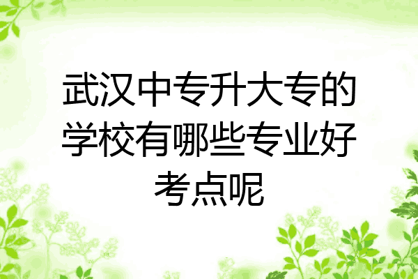 武汉中专升大专的学校有哪些专业好考点呢