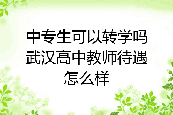 中专生可以转学吗武汉高中教师待遇怎么样
