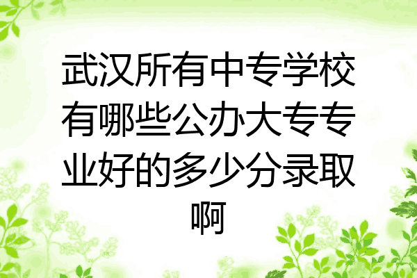 武汉所有中专学校有哪些公办大专专业好的多少分录取啊