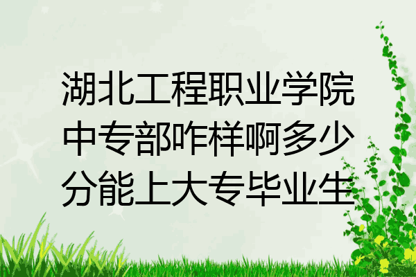 湖北工程职业学院中专部咋样啊多少分能上大专毕业生