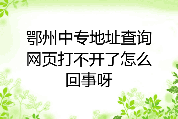 鄂州中专地址查询网页打不开了怎么回事呀
