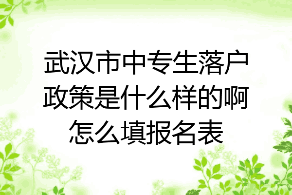 武汉市中专生落户政策是什么样的啊怎么填报名表