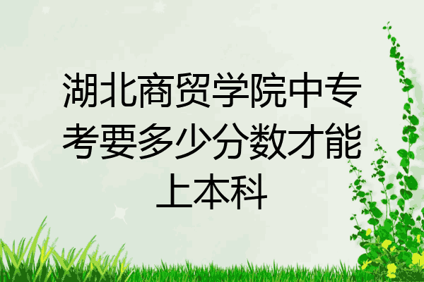 湖北商贸学院中专考要多少分数才能上本科