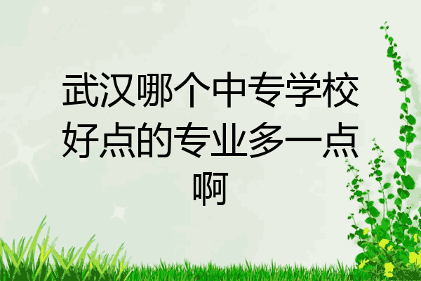 武汉哪个中专学校好点的专业多一点啊