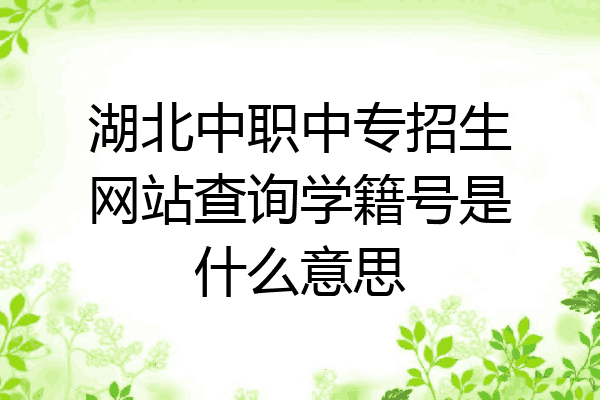 湖北中职中专招生网站查询学籍号是什么意思