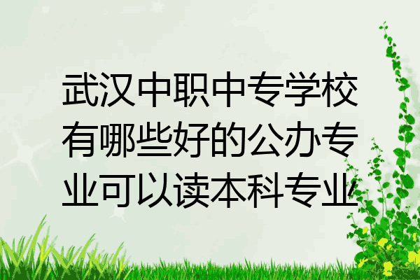 武汉中职中专学校有哪些好的公办专业可以读本科专业