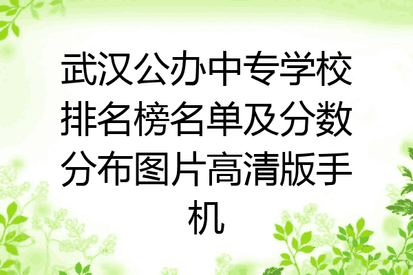 武汉公办中专学校排名榜名单及分数分布图片高清版手机