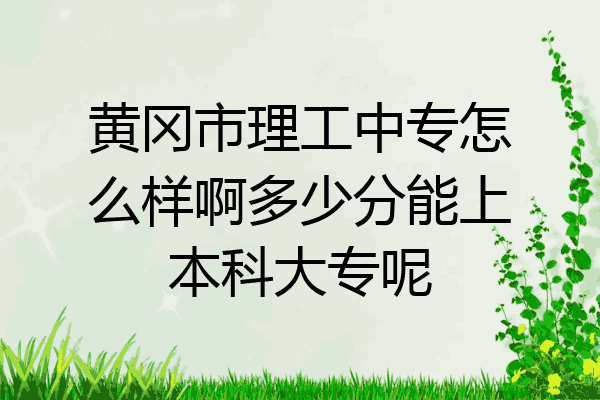 黄冈市理工中专怎么样啊多少分能上本科大专呢