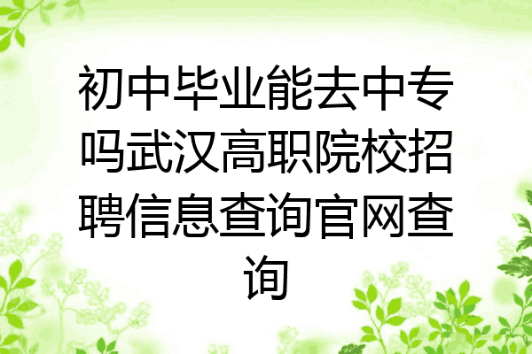 初中毕业能去中专吗武汉高职院校招聘信息查询官网查询