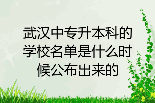 武汉中专升本科的学校名单是什么时候公布出来的