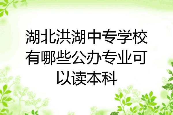 湖北洪湖中专学校有哪些公办专业可以读本科