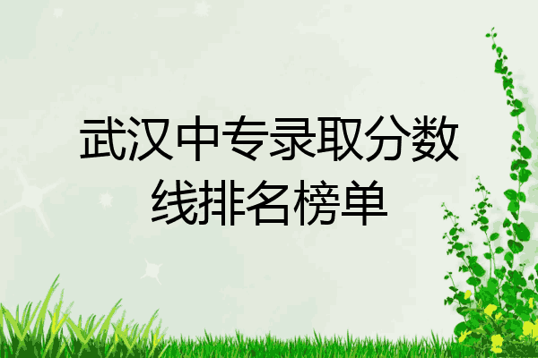 武汉中专录取分数线排名榜单