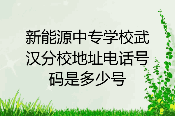 新能源中专学校武汉分校地址电话号码是多少号