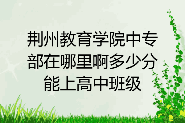 荆州教育学院中专部在哪里啊多少分能上高中班级