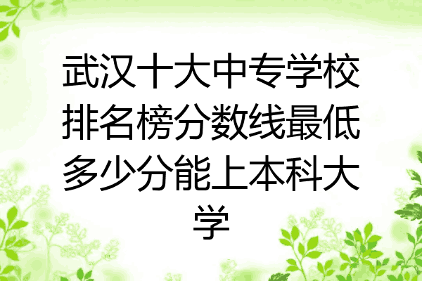 武汉十大中专学校排名榜分数线最低多少分能上本科大学