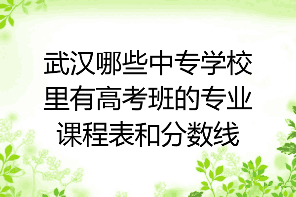 武汉哪些中专学校里有高考班的专业课程表和分数线