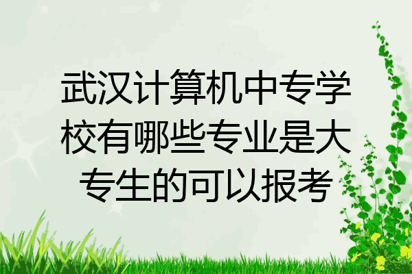 武汉计算机中专学校有哪些专业是大专生的可以报考
