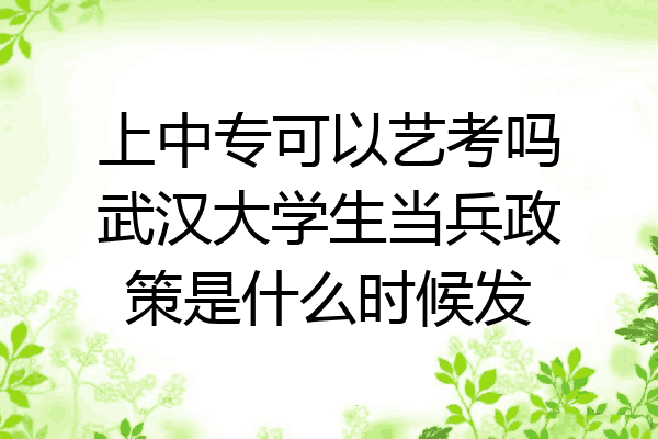 上中专可以艺考吗武汉大学生当兵政策是什么时候发