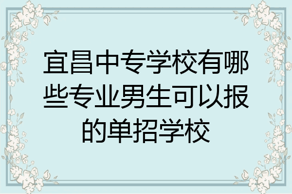 宜昌中专学校有哪些专业男生可以报的单招学校