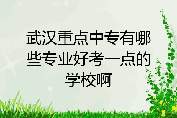 武汉重点中专有哪些专业好考一点的学校啊