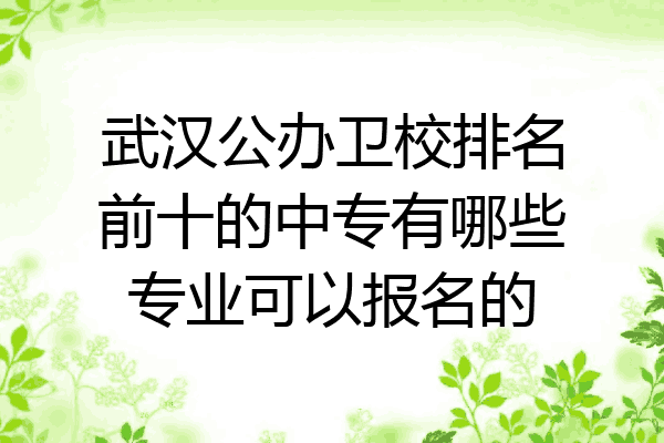 武汉公办卫校排名前十的中专有哪些专业可以报名的
