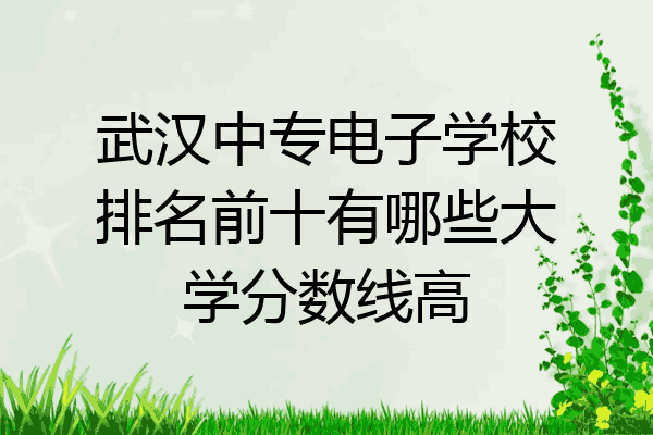 武汉中专电子学校排名前十有哪些大学分数线高