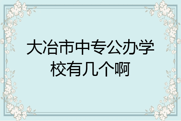 大冶市中专公办学校有几个啊