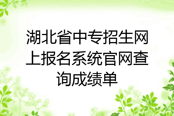 湖北省中专招生网上报名系统官网查询成绩单