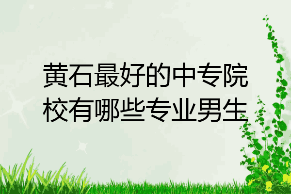 黄石最好的中专院校有哪些专业男生
