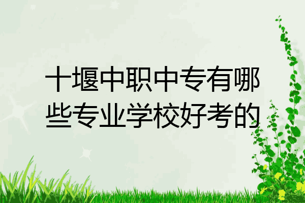 十堰中职中专有哪些专业学校好考的