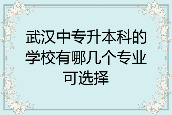 武汉中专升本科的学校有哪几个专业可选择