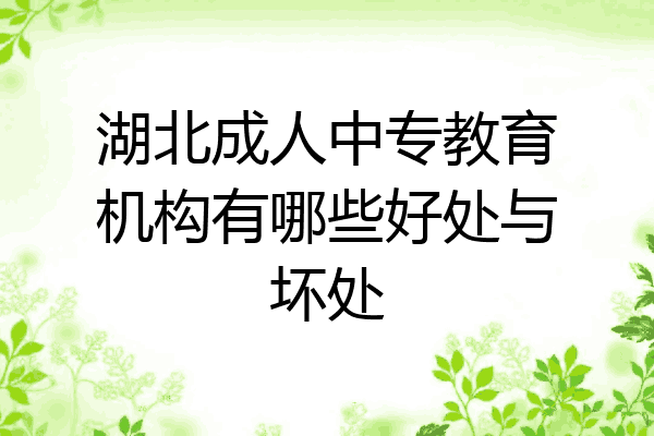 湖北成人中专教育机构有哪些好处与坏处