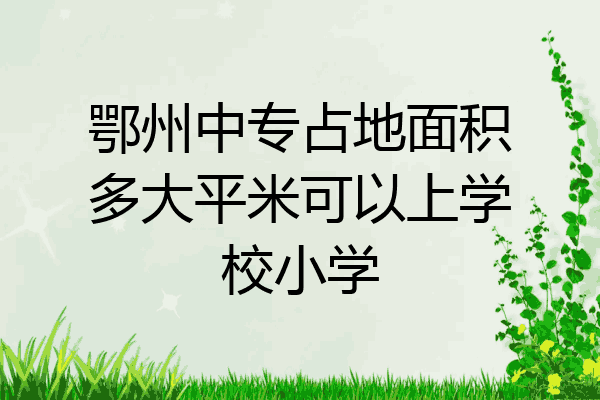 鄂州中专占地面积多大平米可以上学校小学
