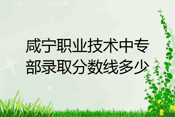 咸宁职业技术中专部录取分数线多少