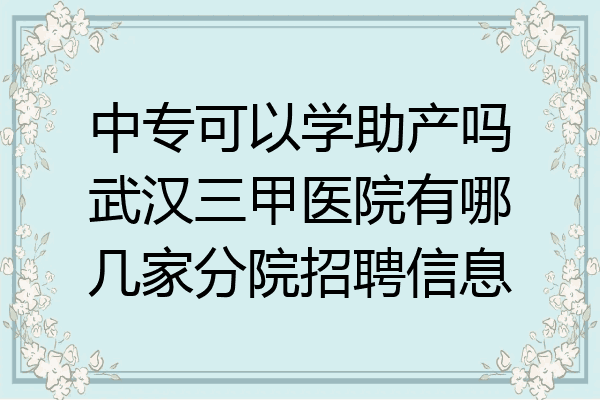 中专可以学助产吗武汉三甲医院有哪几家分院招聘信息