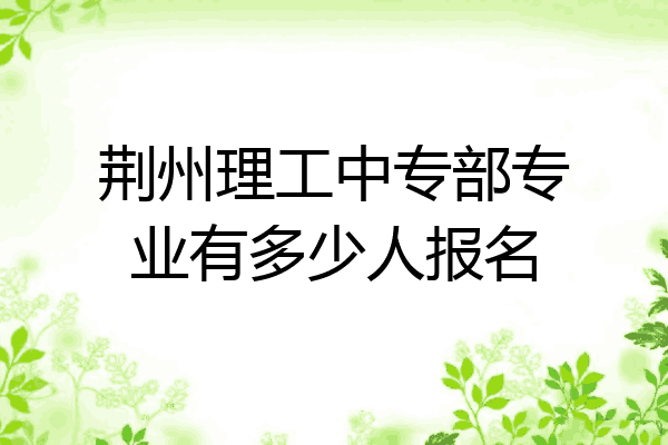 荆州理工中专部专业有多少人报名