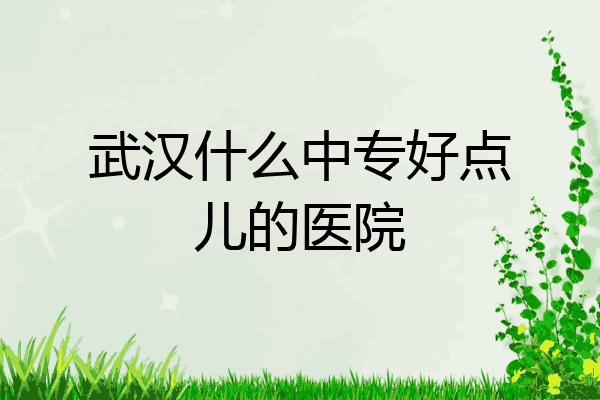 武汉什么中专好点儿的医院