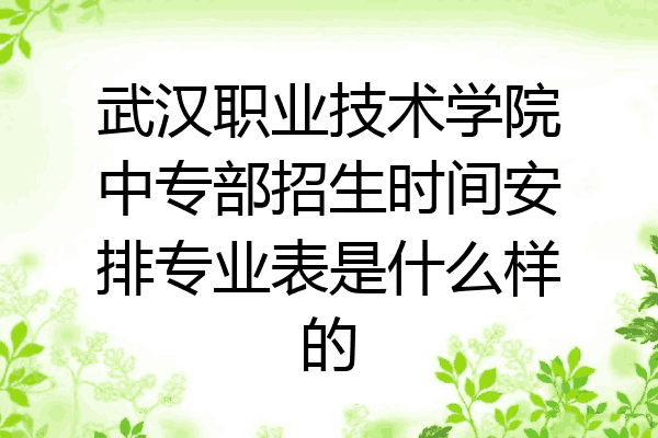 武汉职业技术学院中专部招生时间安排专业表是什么样的