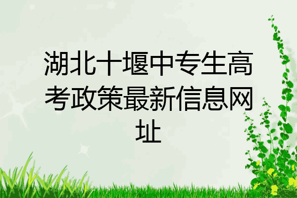 湖北十堰中专生高考政策最新信息网址