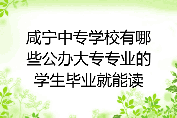 咸宁中专学校有哪些公办大专专业的学生毕业就能读