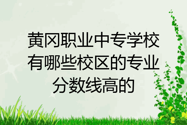 黄冈职业中专学校有哪些校区的专业分数线高的
