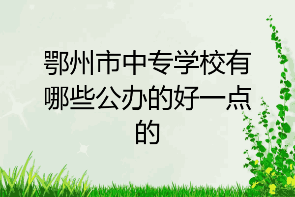 鄂州市中专学校有哪些公办的好一点的