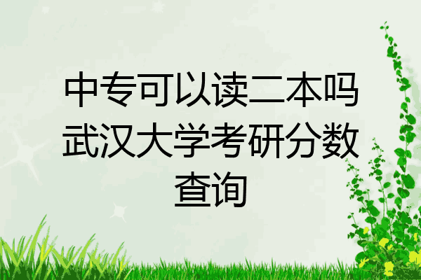 中专可以读二本吗武汉大学考研分数查询