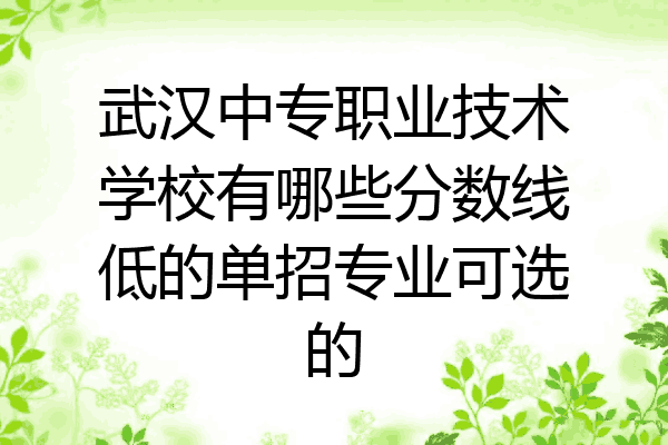 武汉中专职业技术学校有哪些分数线低的单招专业可选的