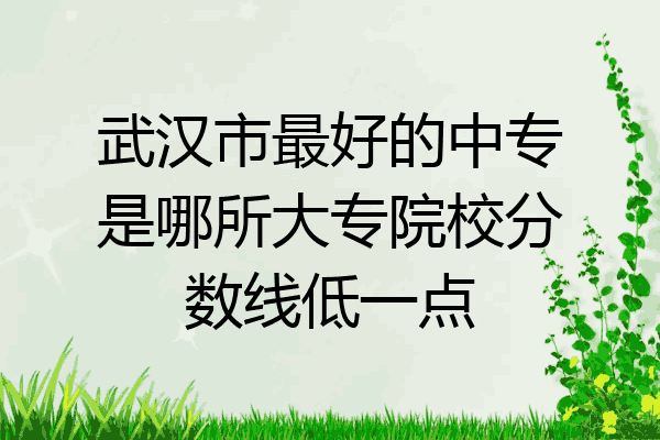 武汉市最好的中专是哪所大专院校分数线低一点