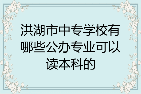 洪湖市中专学校有哪些公办专业可以读本科的