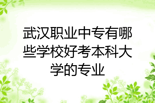 武汉职业中专有哪些学校好考本科大学的专业