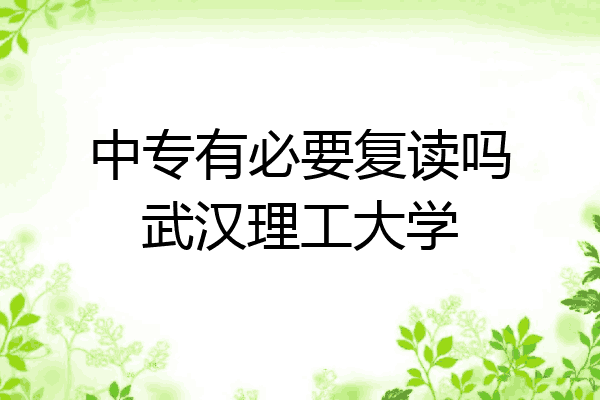 中专有必要复读吗武汉理工大学