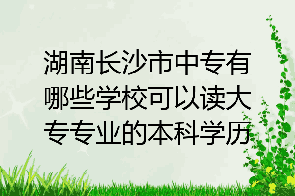 湖南长沙市中专有哪些学校可以读大专专业的本科学历