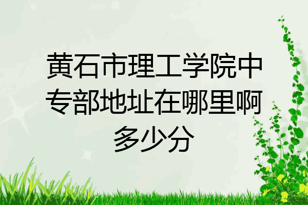 黄石市理工学院中专部地址在哪里啊多少分